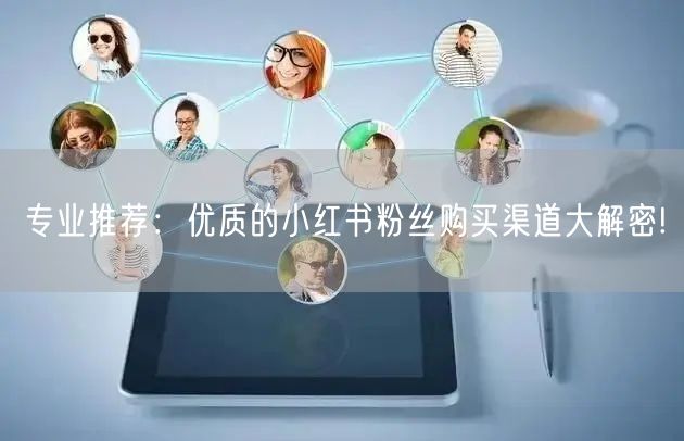 专业推荐：优质的小红书粉丝购买渠道大解密!