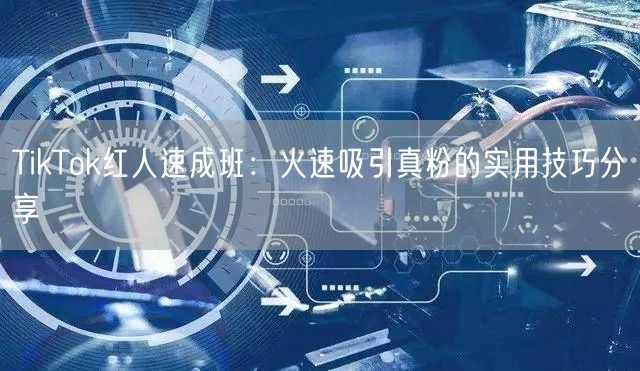 TikTok红人速成班：火速吸引真粉的实用技巧分享
