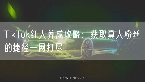 TikTok红人养成攻略：获取真人粉丝的捷径一网打尽！